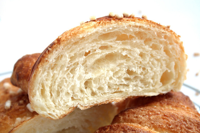 croissants alveolatura g.jpg
