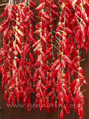 peperoncino.jpg